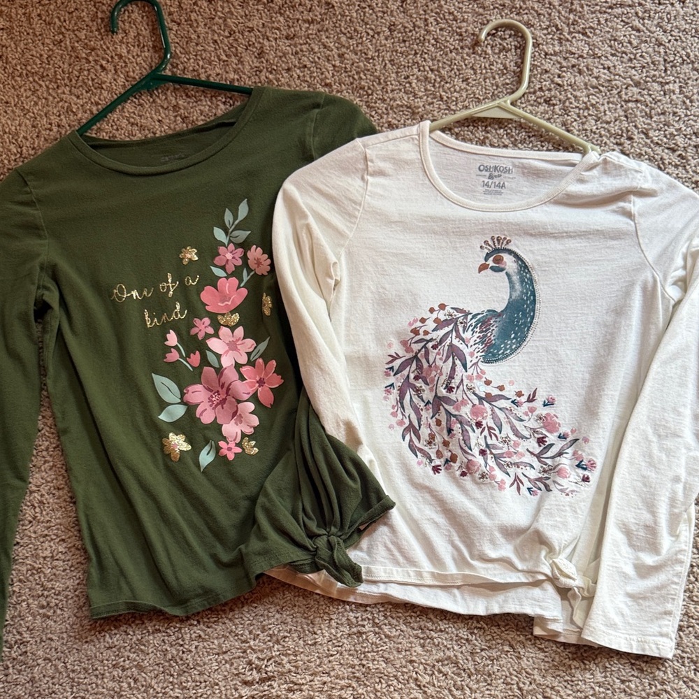OshKosh/Carter’s Graphic Long-Sleeve Tee bundle